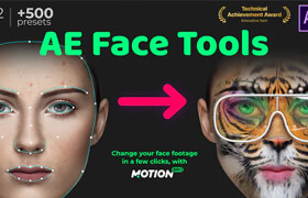 Face Tools V2   ​