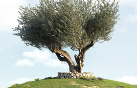 4 Olive Trees - 3dmodel