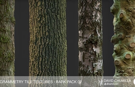 Gumroad - Photogrammetry Tile Textures - Bark Pack 02 - Textures