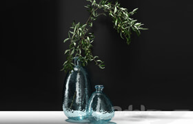 Olive branch in vase
