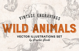 Graphicgoods - Wild Animals Engravings - Graphic Goods