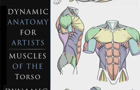 Skillshare - Dynamic Anatomy for Artists