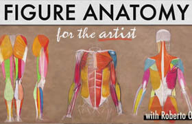 Craftsy - Figure Anatomy for the Artist by Roberto Osti