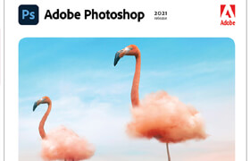 Adobe Photoshop Classroom in a Book 2021 release by Conrad Chavez - book