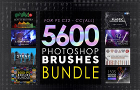 Creativemarket - 5600 Photoshop Brushes Mega Bundle - brush