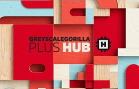 GreyscaleGorilla GSG Plus Hub Plugins HDRI & Materials 2021 Win - 素材
