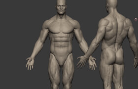 AXIS - Anatomia humana no Zbrush