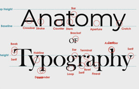 Pluralsight - Typography Getting Started