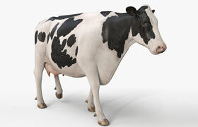 Turbosquid - Cow PRO Holstein 3D model