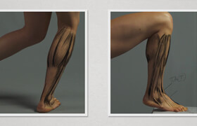New Masters Academy - Rey Bustos Lower Leg Anatomy