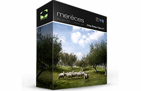 Sergiomereces - Olive Trees Model - 3dmodel