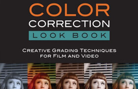 Alexis Van Hurkman - Color Correction Look Book