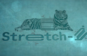 Stretch-it 2