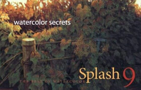 Splash 9 - Watercolor Secrets_ The Best of Watercolor - book