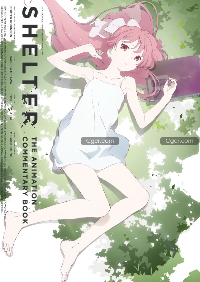 shelter the animation commentary book