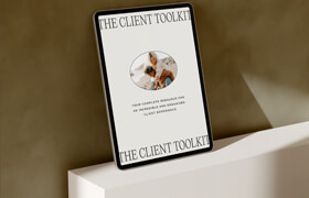 Dawn Charles - The Client Toolkit