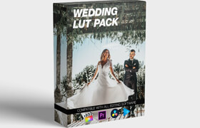 Fcpx full access - Wedding LUT Pack - Final Cut Pro  Adobe Premiere Pro