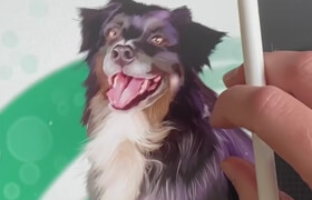 Skillshare - Learn how to turn pet photos into pet portraits in Procreate