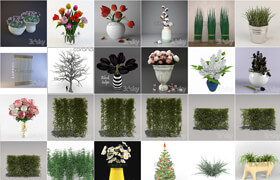 3dsky free Decoration Plant 植物 P2