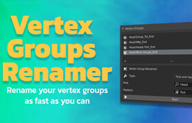 Vertex Groups Renamer - VGR - blender