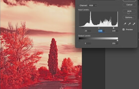 Udemy - Learn Everything about Photo Editing in Adobe Photoshop