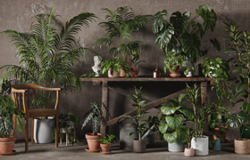 3Dcollective - INTERIOR PLANTS PACK 01 - 3dmodel