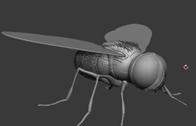 Udemy - ZBrush Online Course Sculpting and Modelling The Fly