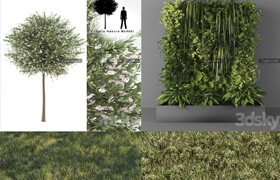 4组植物模型合集