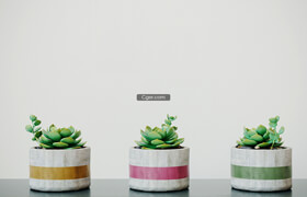 Free3DMode - Decorative Cactus Vase  Salih Göçmen