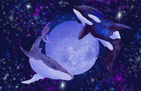 Skillshare - Procreate for Beginners Learn the Basics Flying Whales around the Moon    ​