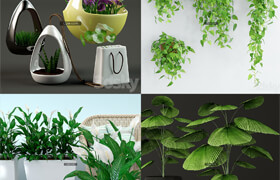 4套植物盆栽模型合集