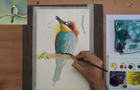 Skillshare - BEE-EATER. Learn to Paint Birds in Watercolour using a DIRECT and LOOSE technique