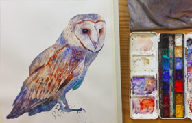 Skillshare - Brush Up Your Skills A Step-by-Step Guide to Painting a Barn Owl in Watercolor Using Fun Techniques