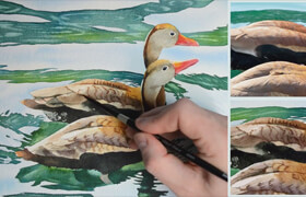 Skillshare - How to Paint Ducks and Water Ripples in Watercolor