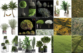 25套植物盆栽模型合集