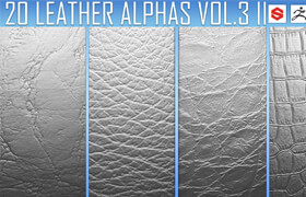 ArtStation - 20 Leather Alphas Vol.3 (ZBrush, Substance, 2K)