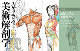 スケッチで学ぶ美術解剖学 (加藤公太)  - book
