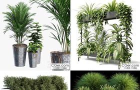 4套植物盆栽模型合集
