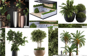 28套植物模型合集