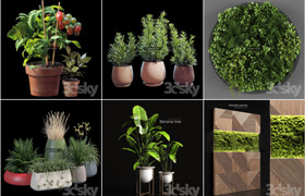 50套植物盆栽模型