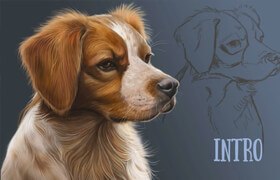 Skillshare - Digital Art Painting A Realistic Pet Portrait