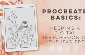 Skillshare - Procreate Basics Keeping a Digital Sketchbook on Your iPad Pro