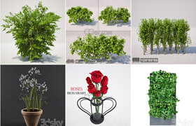 3dsky free - Decoration Plant 植物 - p3