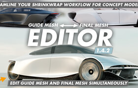Guide Mesh Final Mesh Editor