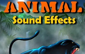 Hollywood Studio Sound Effects Animal Sound Effects