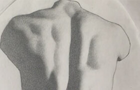 Better Pencil Drawing Using The Bargue Drawing Course