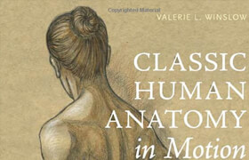 Classic Human Anatomy in motion