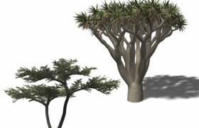Xfrog 非洲植物模型库
