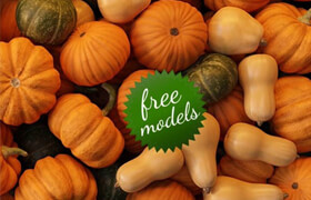 Free Pumpkin Models  Polygoniq