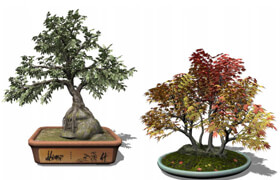 Xfrog 盆栽植物模型库